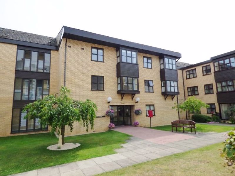 Main Image
